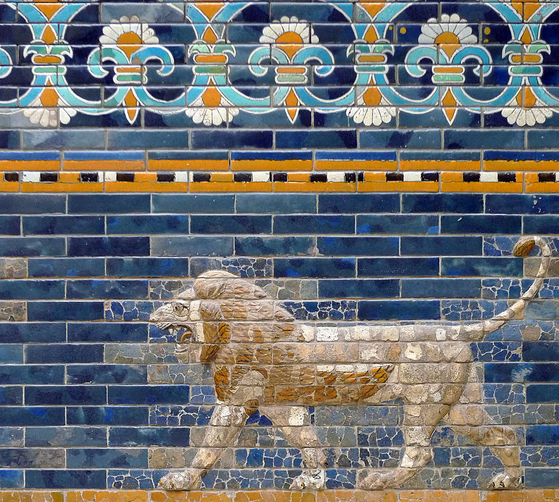 lionsnebu
